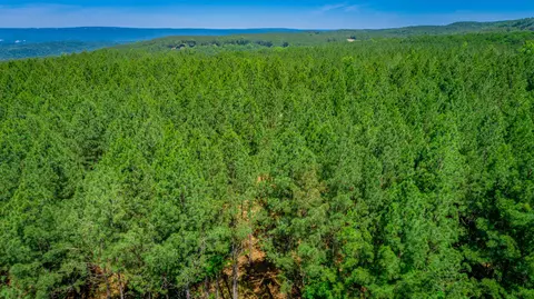 0 Split Rail Way #LOT 1163, Guild, TN 37340 photo 63