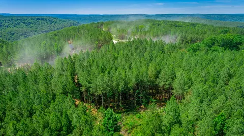 0 Split Rail Way #LOT 1163, Guild, TN 37340 photo 57