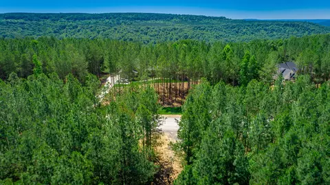 0 Split Rail Way #LOT 1163, Guild, TN 37340 photo 69