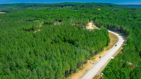0 Split Rail Way #LOT 1163, Guild, TN 37340 photo 43