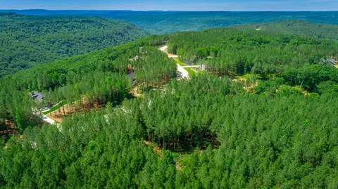 0 Split Rail Way #LOT 1163, Guild, TN 37340 photo 47