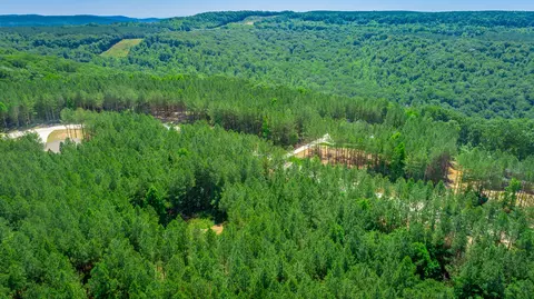 0 Split Rail Way #LOT 1163, Guild, TN 37340 photo 45