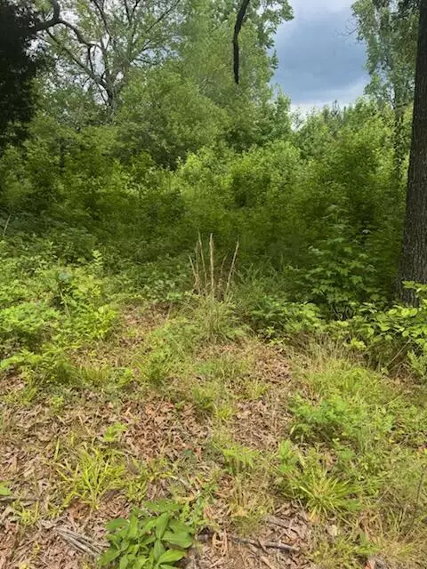 0 Stewart Rd, Ringgold, GA 30736