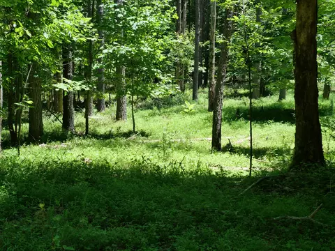 3256 Summer City, Pikeville, TN 37367