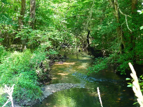 0 Gap Rd E Of Rd, Whitwell, TN 37397