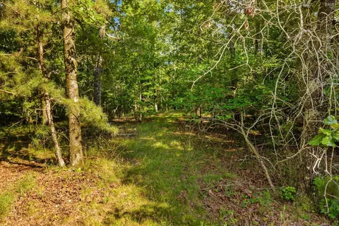 0 Blacks Bluff Rd SW, Cave Spring, GA 30124 photo 24