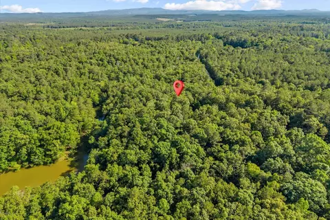 0 Blacks Bluff Rd SW, Cave Spring, GA 30124 photo 21