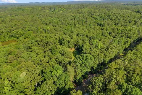 0 Blacks Bluff Rd SW, Cave Spring, GA 30124 photo 22