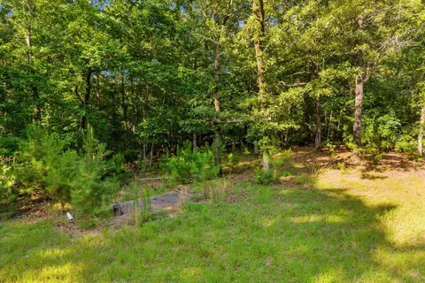 0 Blacks Bluff Rd SW, Cave Spring, GA 30124 photo 23