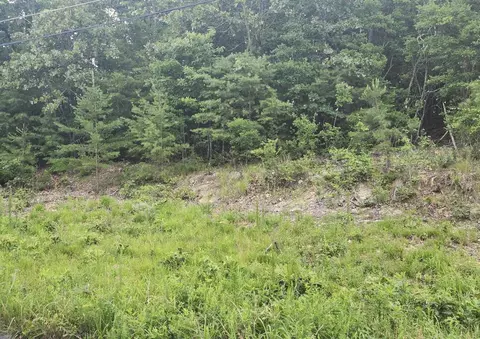 6201 Hidden Hill Rd, Harrison, TN 37341 photo 2