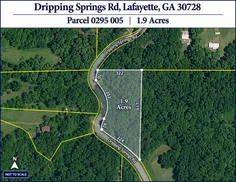 0 Dripping Springs Rd, Lafayette, GA 30728