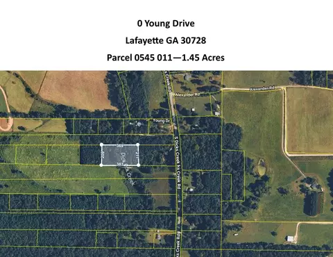 0 Young Dr Rd, Lafayette, GA 30728