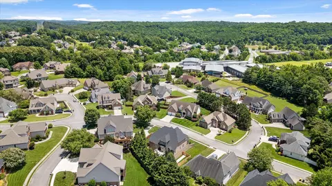 View/Area - 9875 Fieldcrest Dr, Apison, TN 37302 photo 7 of 8