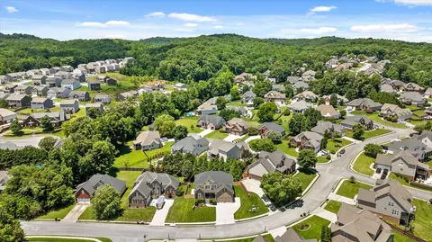 View/Area - 9875 Fieldcrest Dr, Apison, TN 37302 photo 4 of 8
