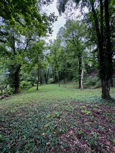 6733 Moss Lake Dr, Hixson, TN 37343