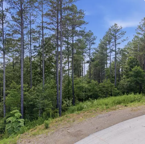 1141 Split Rail Way, Guild, TN 37340