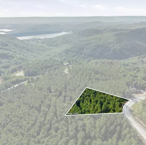 1141 Split Rail Way, Guild, TN 37340 photo 2
