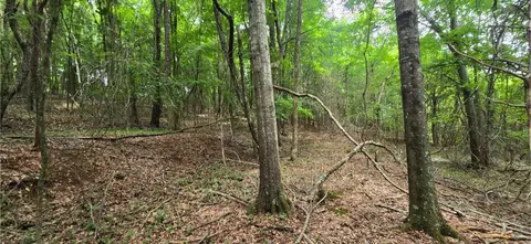 0 Ridge Rd, Cave Spring, GA 30124 photo 11
