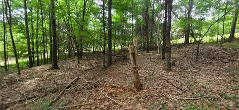 0 Ridge Rd, Cave Spring, GA 30124 photo 12