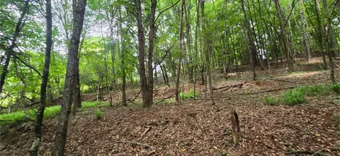 0 Ridge Rd, Cave Spring, GA 30124 photo 8