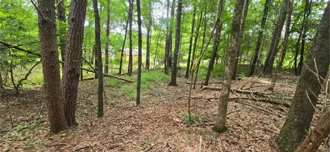 0 Ridge Rd, Cave Spring, GA 30124 photo 13