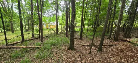 0 Ridge Rd, Cave Spring, GA 30124 photo 15