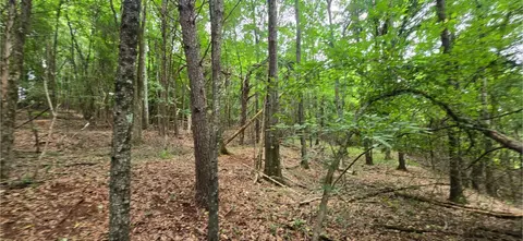 0 Ridge Rd, Cave Spring, GA 30124 photo 16