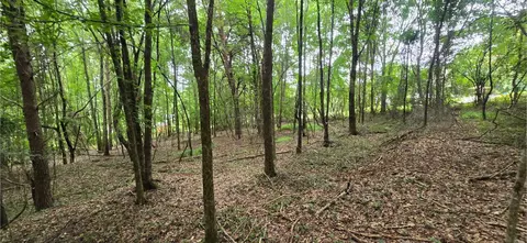 0 Ridge Rd, Cave Spring, GA 30124 photo 4