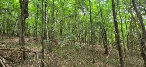 0 Ridge Rd, Cave Spring, GA 30124 photo 6