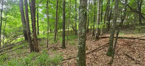 0 Ridge Rd, Cave Spring, GA 30124 photo 18