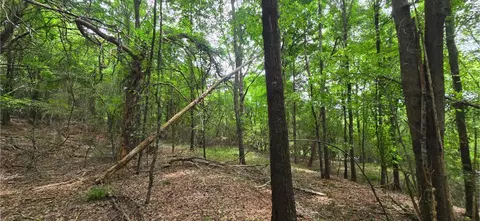 0 Ridge Rd, Cave Spring, GA 30124 photo 14