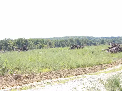 100 Summer City Rd, Evensville, TN 37332
