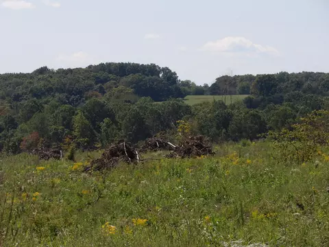 lot55 Summer City Rd #55, Evensville, TN 37332