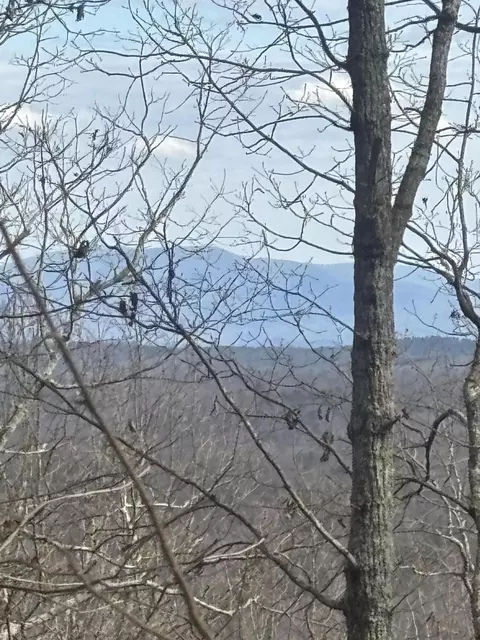 0 Forest Dr #LOT B, Ringgold, GA 30736