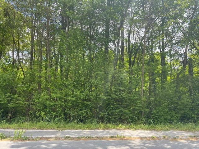 0 Mclemore St, Lafayette, GA 30728
