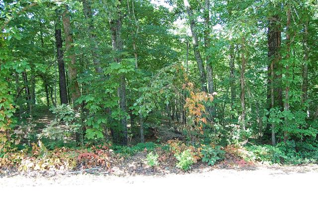 65 Dogwood Ln, Dunlap, TN 37327