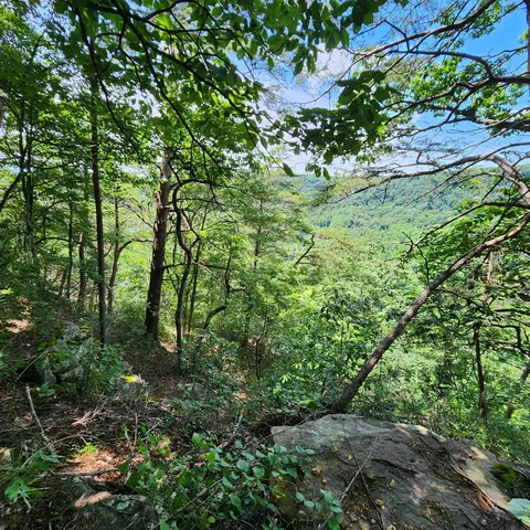 0 Eagle Point Dr, Monteagle, TN 37356