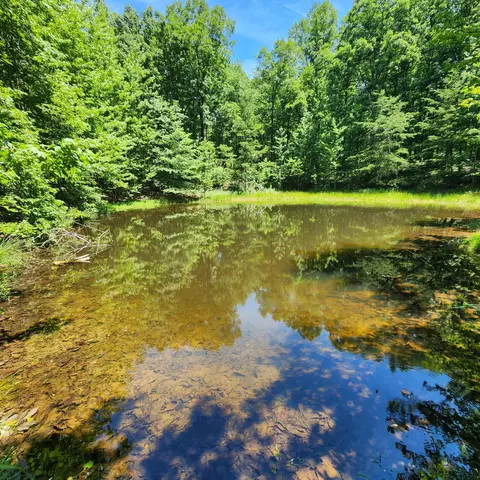 0 Eagle Point Dr #22, Monteagle, TN 37356 photo 21