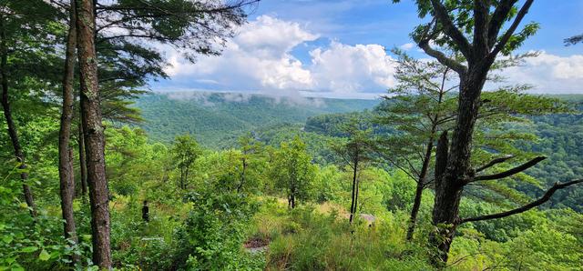 0 Eagle Point Dr #22, Monteagle, TN 37356