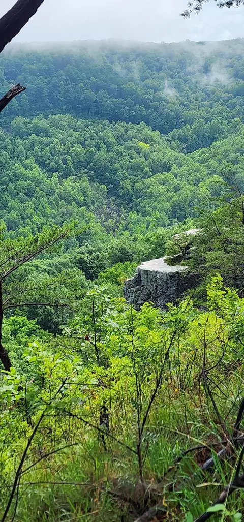 0 Eagle Point Dr #22, Monteagle, TN 37356 photo 15