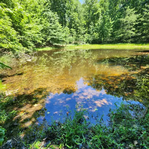 0 Eagle Point Dr #22, Monteagle, TN 37356 photo 22