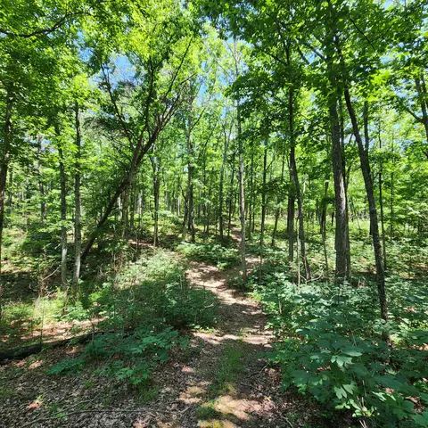 0 Eagle Point Dr #22, Monteagle, TN 37356 photo 23
