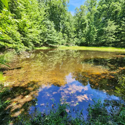 0 Eagle Point Dr #22, Monteagle, TN 37356 photo 19