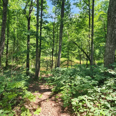 0 Eagle Point Dr #22, Monteagle, TN 37356 photo 18