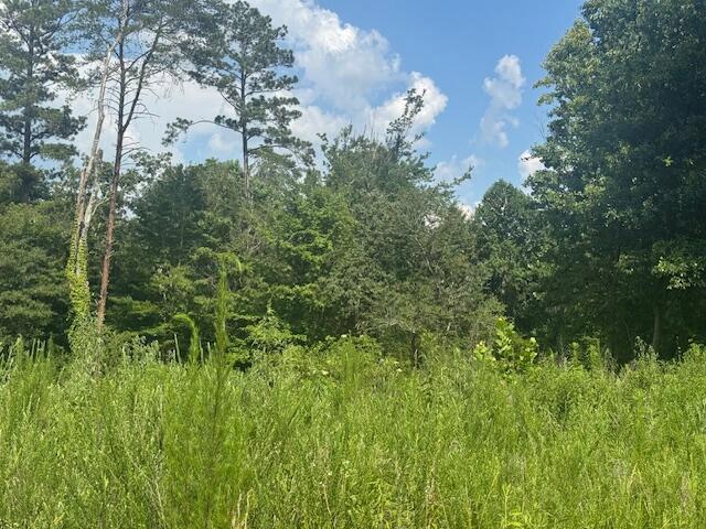 310 Windsong Dr, Lafayette, GA 30728