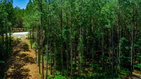 Other - 1163 Split Rail Way, Guild, TN 37340 photo 34 of 45