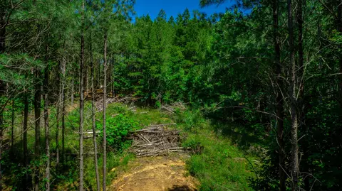 Other - 1163 Split Rail Way, Guild, TN 37340 photo 36 of 45