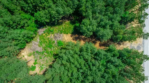 View/Area - 1163 Split Rail Way, Guild, TN 37340 photo 15 of 38