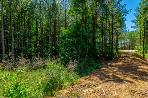 Other - 1163 Split Rail Way, Guild, TN 37340 photo 26 of 45
