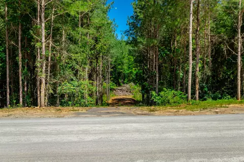 Other - 1163 Split Rail Way, Guild, TN 37340 photo 14 of 45